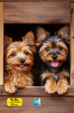 PERROS2.png